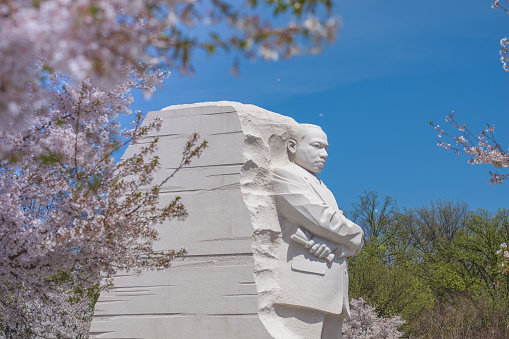 Washington, DC/USA - April 13, 2015: Martin Luther King, Jr. Memorial by Chinese sculptor Lei Yixin on the National Mall in Washington, DC during the annual Cherry Blossom Festival. It is managed by the National Park Service.