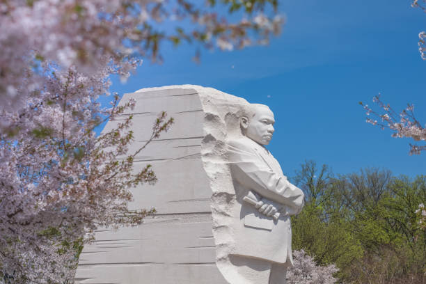 Martin Luther King Jr. Memorial in Washington, DC during the Cherry Blossom Festival Washington, DC/USA - April 13, 2015: Martin Luther King, Jr. Memorial by Chinese sculptor Lei Yixin on the National Mall in Washington, DC during the annual Cherry Blossom Festival. It is managed by the National Park Service. flower part photos stock pictures, royalty-free photos & images