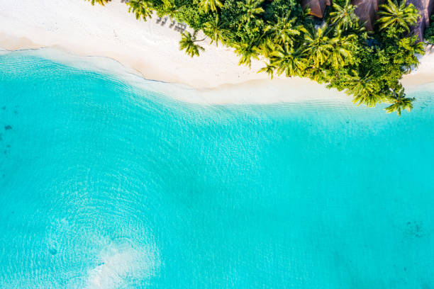 istock Aerial view of tropical beach 1211075387