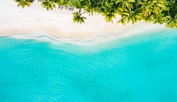 istock Aerial view of tropical beach 1211075390