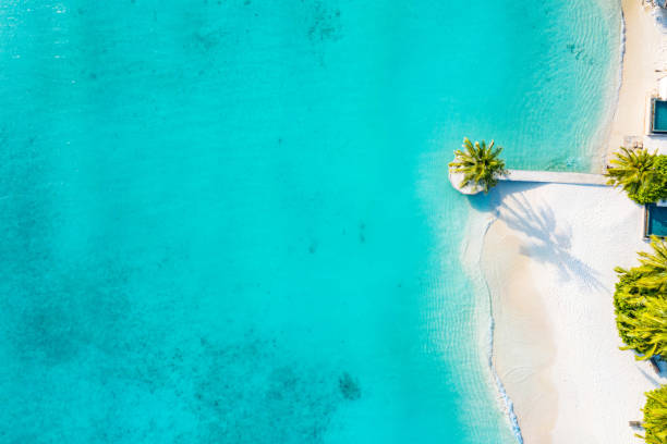istock Aerial view of tropical beach 1211076045