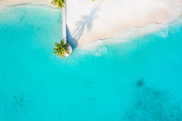 istock Aerial view of tropical beach 1211076046