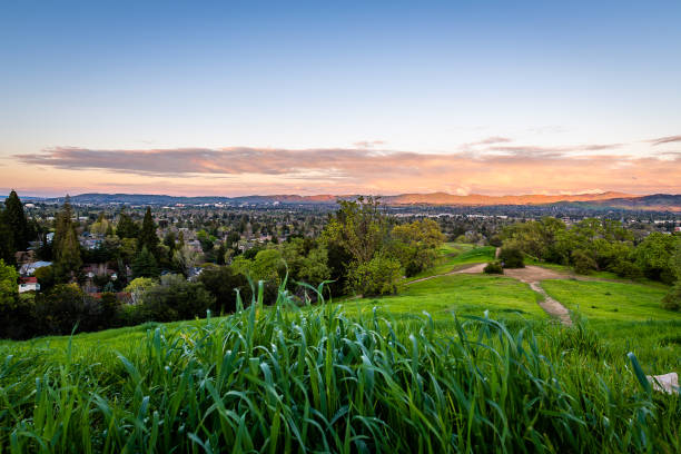 dinosaur hill park bei sonnenuntergang - magic hour stock-fotos und bilder