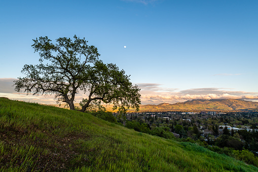The sun sets over Mount Diablo from Dinosaur Hill Park