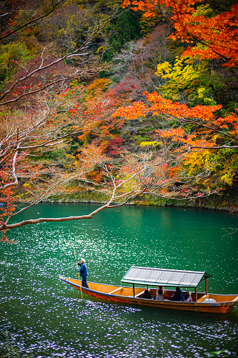 Boatman paddling the boat at Arashiyama forest view in the Autumn along Katsura river. Kyoto, Japan.