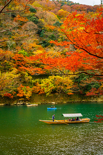 Boatman paddling the boat at Arashiyama forest view in the Autumn along Katsura river. Kyoto, Japan.