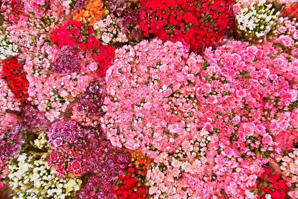 istock Flower branches - Bangkok flower market. 1211087083