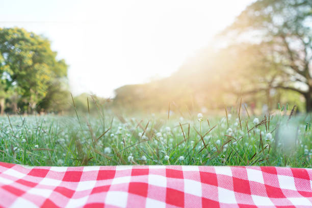 Red checkered tablecloth texture with on green grass at the garden stock photo