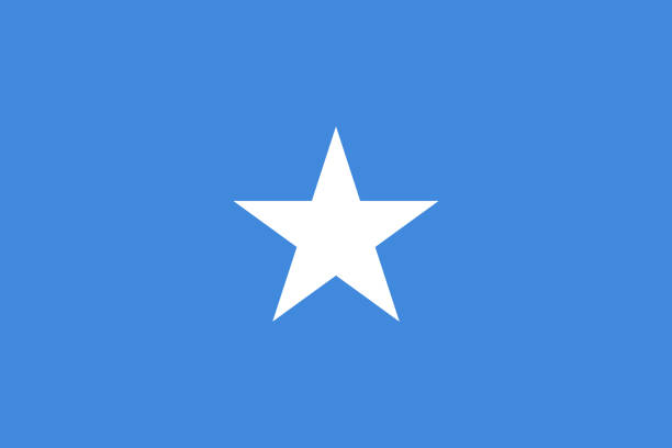 somalia national flag wektor tło - somali republic stock illustrations