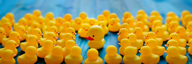 istock Weird, strange, alien yellow rubber duck on a wooden board table background with a large crowd of small normal yellow rubber ducks surrounding and staring at the alien duck, concept image of standing out from the crowd. 1211091015