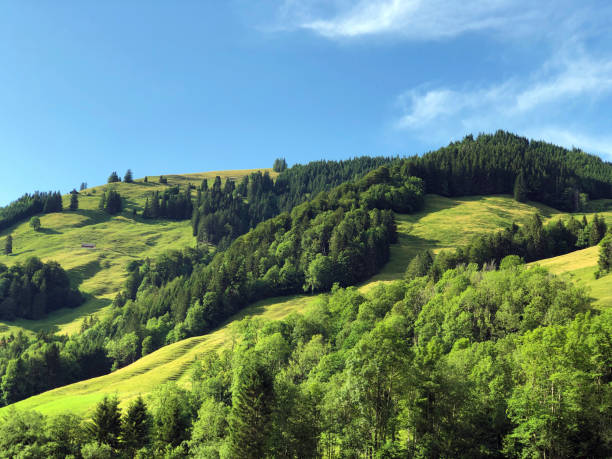 Alpine hill Stockrain above the Sihltal valley and artifical Lake Sihlsee, Studen - Canton of Schwyz, Switzerland Alpine hill Stockrain above the Sihltal valley and artifical Lake Sihlsee, Studen - Canton of Schwyz, Switzerland artifical grass stock pictures, royalty-free photos & images