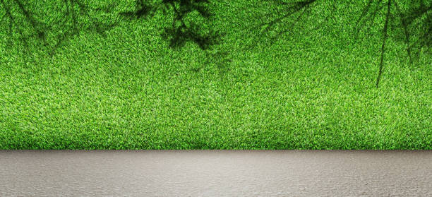 istock Abstract image of Green grass wall and concrete floor. 1211096696