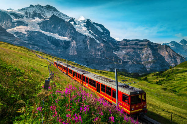 Electric passenger train and snowy Jungfrau mountains in background, Switzerland Fantastic cogwheel railway with electric red tourist train. Snowy Jungfrau mountains with glaciers, flowery fields and red passenger train, Kleine Scheidegg, Grindelwald, Bernese Oberland, Switzerland, Europe switzerland stock pictures, royalty-free photos & images