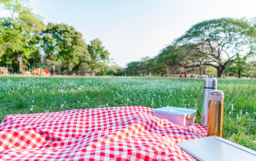 Red checkered tablecloth with object at the garden