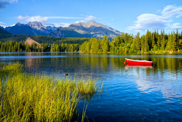férias de verão no lago da montanha strbske pleso, eslováquia - tatra national park - fotografias e filmes do acervo