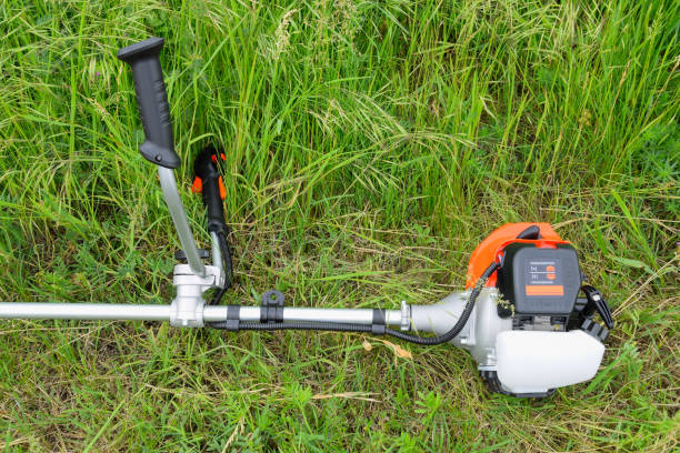 istock Trimer gascosis with leaf for mowing grass and shrubs. 1211105197