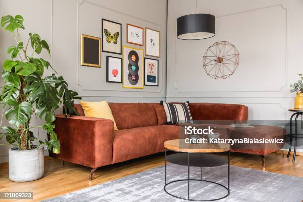 Eclectic Living Room Interior With Comfortable Velvet Corner Sofa With Pillows Stock Photo - Download Image Now