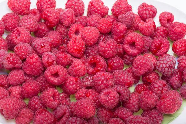 istock A beautiful selection of freshly picked ripe red raspberries. 1211110433
