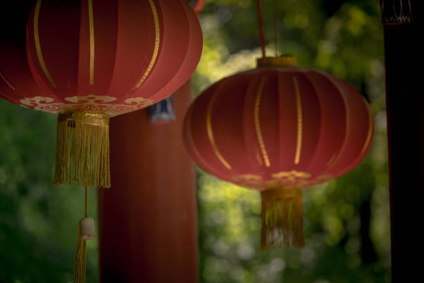 istock Chinese lanterns in park, poland in spring 1211112760