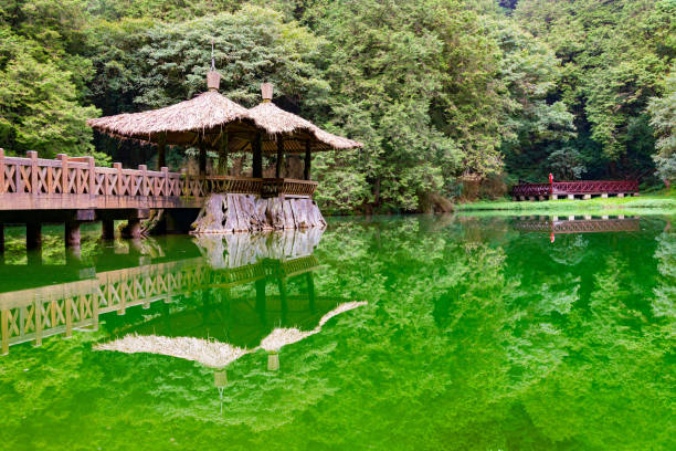 istock Green reflection Two Sister water lake 1211117541