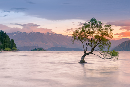 Beautiful after sunset at Wanaka lake, New Zealand natural landscape background