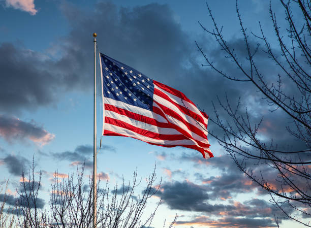 istock American Flag Past Winter Trees 1211118671
