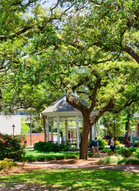 istock Gazebo in Savannah Park 1211118721
