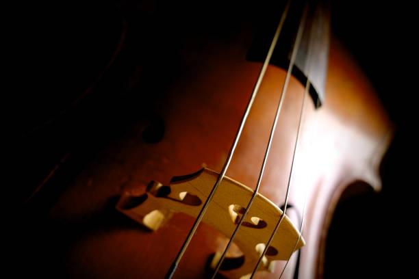 istock Vintage cello on a dark background. Cello details. 1211119487