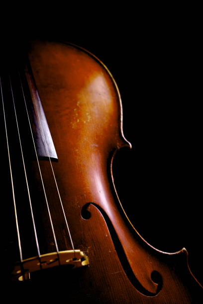 istock Vintage cello on a dark background. Cello details. 1211119488