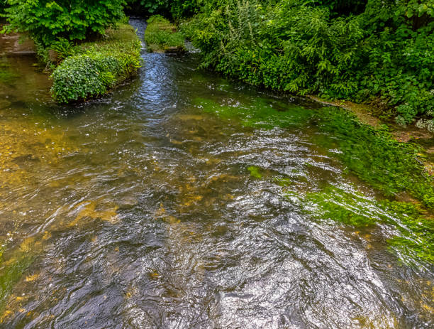 River Test in Mottisfont, Hampshire, United Kingdom River Test in Mottisfont, Hampshire, United Kingdom mottisfont stock pictures, royalty-free photos & images