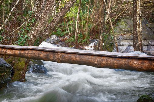 Old log with boards to cross a river