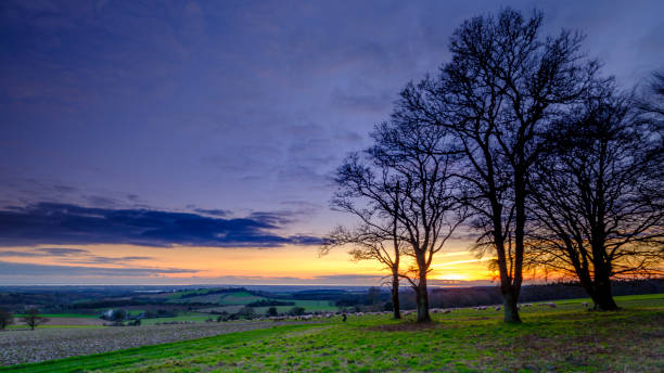Winter sunset over Halnaker Hill Halnaker, UK - January 9, 2020:  Winter sunset over Halnaker Hill from Selhurst Park, South Downs National Park chichester stock pictures, royalty-free photos & images
