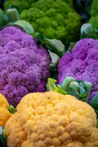 hintergrund:gruppe von blumenkohl in verschiedenen farben - romanesque broccoli cauliflower cabbage stock-fotos und bilder