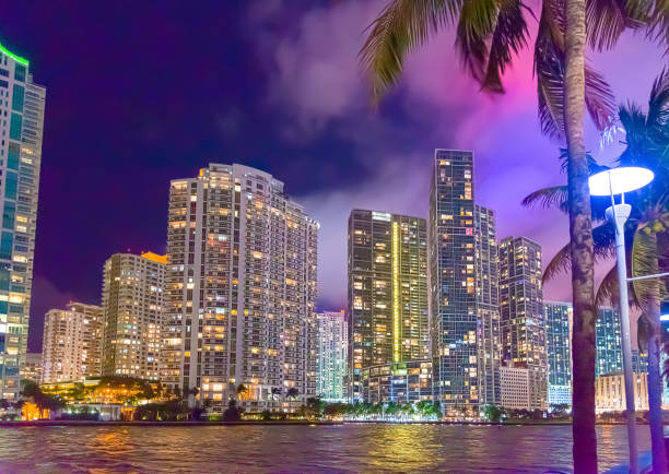 istock Palms and skyscrapers in Riverwalk Miami at night 1211126285