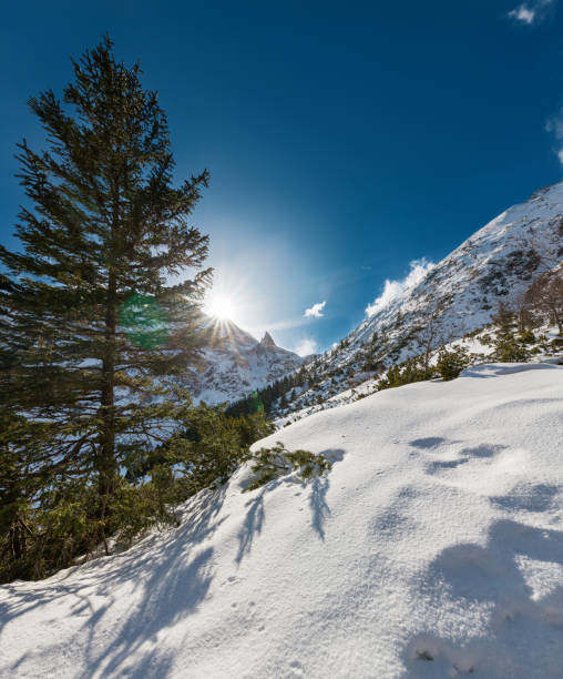 Winter landscape with Tatra Mountains taken at Lake Morskie Oko (Tatra National Park), Poland.