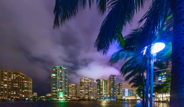 istock Palm trees and skyscrapers in Miami river walk by night 1211129915