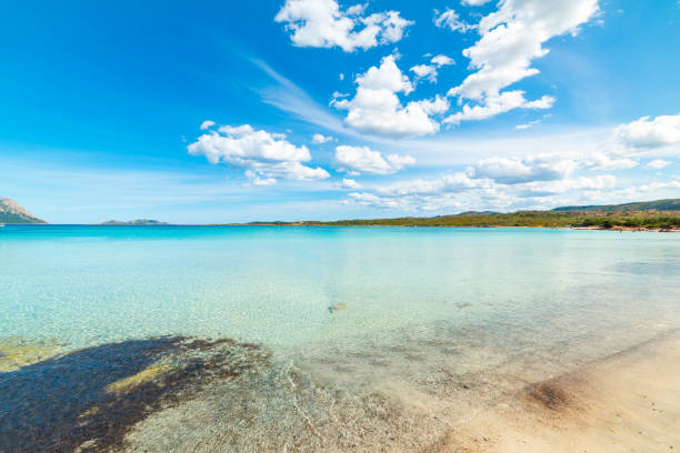 Crystal clear water in Porto Istana beach Crystal clear water in Porto Istana beach. Sardinia, Italy istana stock pictures, royalty-free photos & images