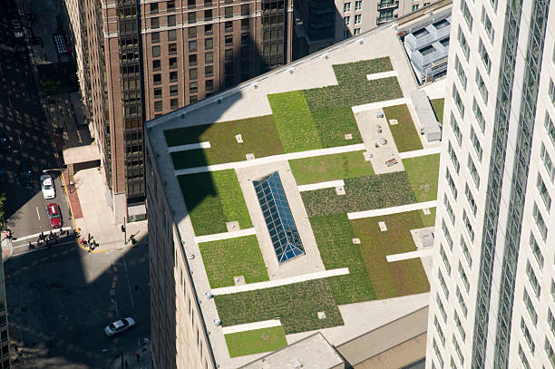 Green Roof in Chicago Surrounded By Buildings.