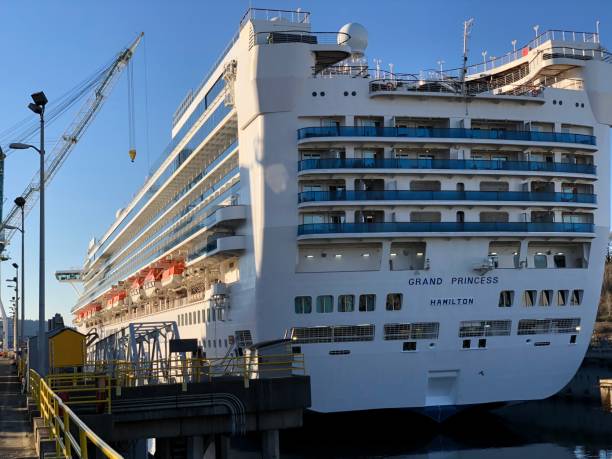 grand princesse dans la cale sèche - dry dock harbor cruise ship pier photos et images de collection