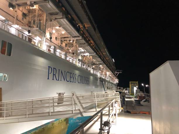 princes croise le navire grand princess en cale sèche - dry dock harbor cruise ship pier photos et images de collection