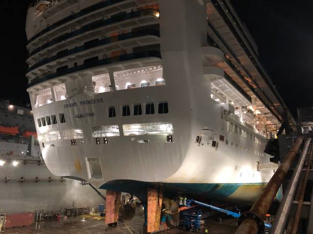 princes croise le navire grand princess en cale sèche - dry dock harbor cruise ship pier photos et images de collection