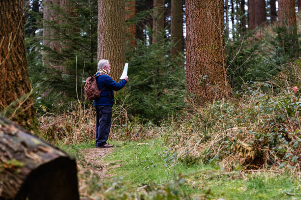 istock Active senior man looking at a map on a forest path in rural Dumfries and Galloway, south west Scotland. 1211140320