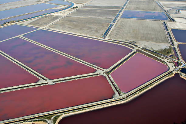 istock Salins d'Aigues-Mortes in Occitania 1211140697