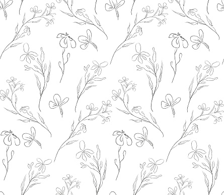 Delicate line drawing vector floral seamloess pattern with hand drawn delicate laurels, branches, leaves, blossom. Botanical illustration.