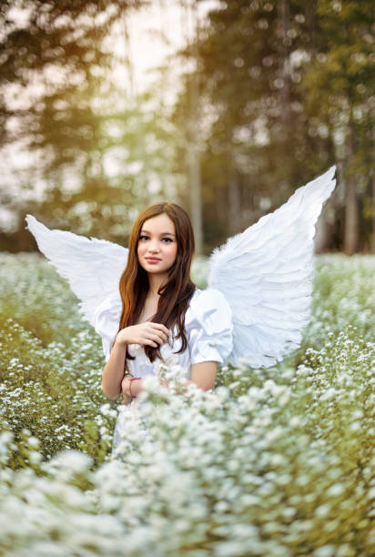 portrait of beautiful asian woman in nature flowers field