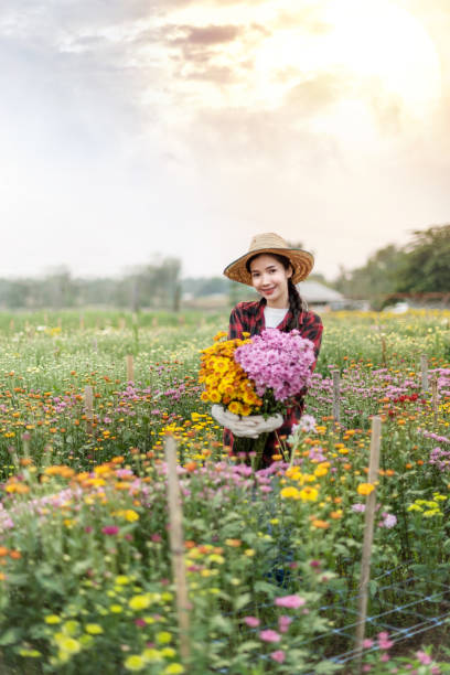 kobieta trzymająca bukiet kwiatów - scented asia asian culture bunch zdjęcia i obrazy z banku zdjęć