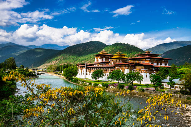 istock Punakha Dzong, also known as Pungthang Dewa chhenbi Phodrang, in Bhutan 1211145231