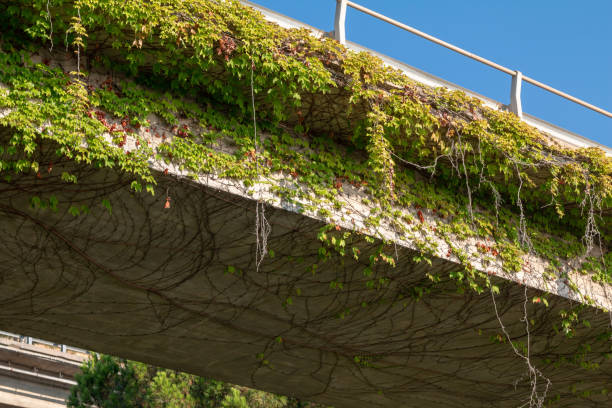 istock Overpass in Taormina, Sicily 1211150117