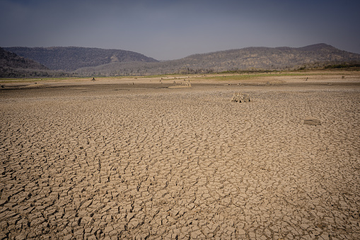Cracked and broken ground earth in arid summer season