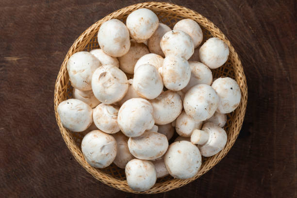 istock A lot of nutritious mushrooms 1211153531